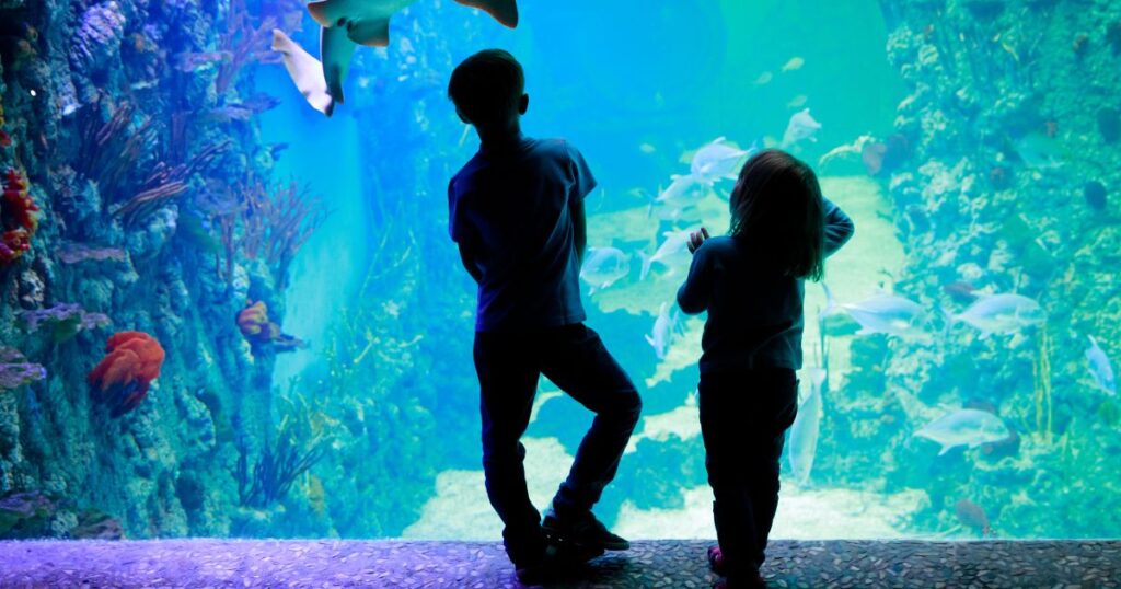 things-to-do-in-charlotte-with-kids-two-kids-at-aquarium
