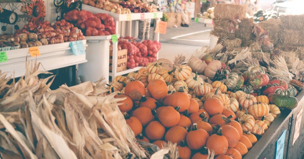 Farmers-market-Charlotte-NC-offering-pumpkins-and-fall-produce-for-families