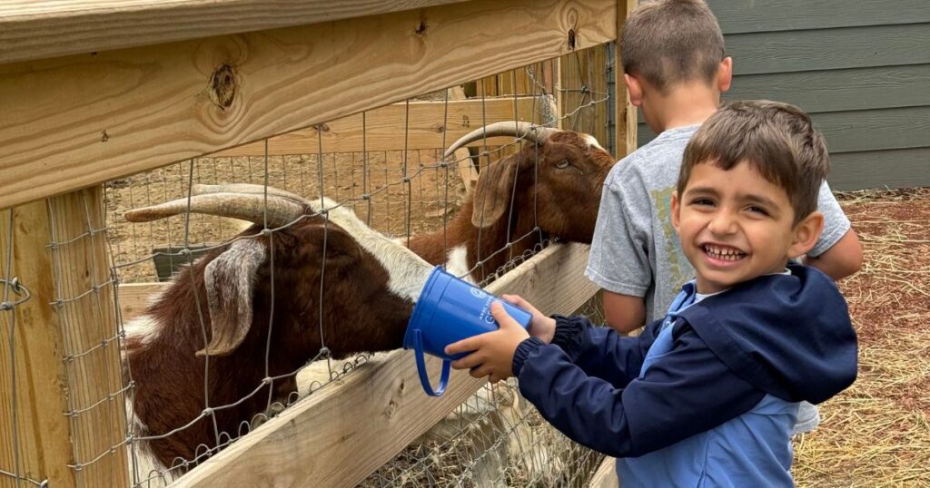 Aleks's young children feeding goats at a family-friendly farm in the Charlotte area after moving to Charlotte with kids